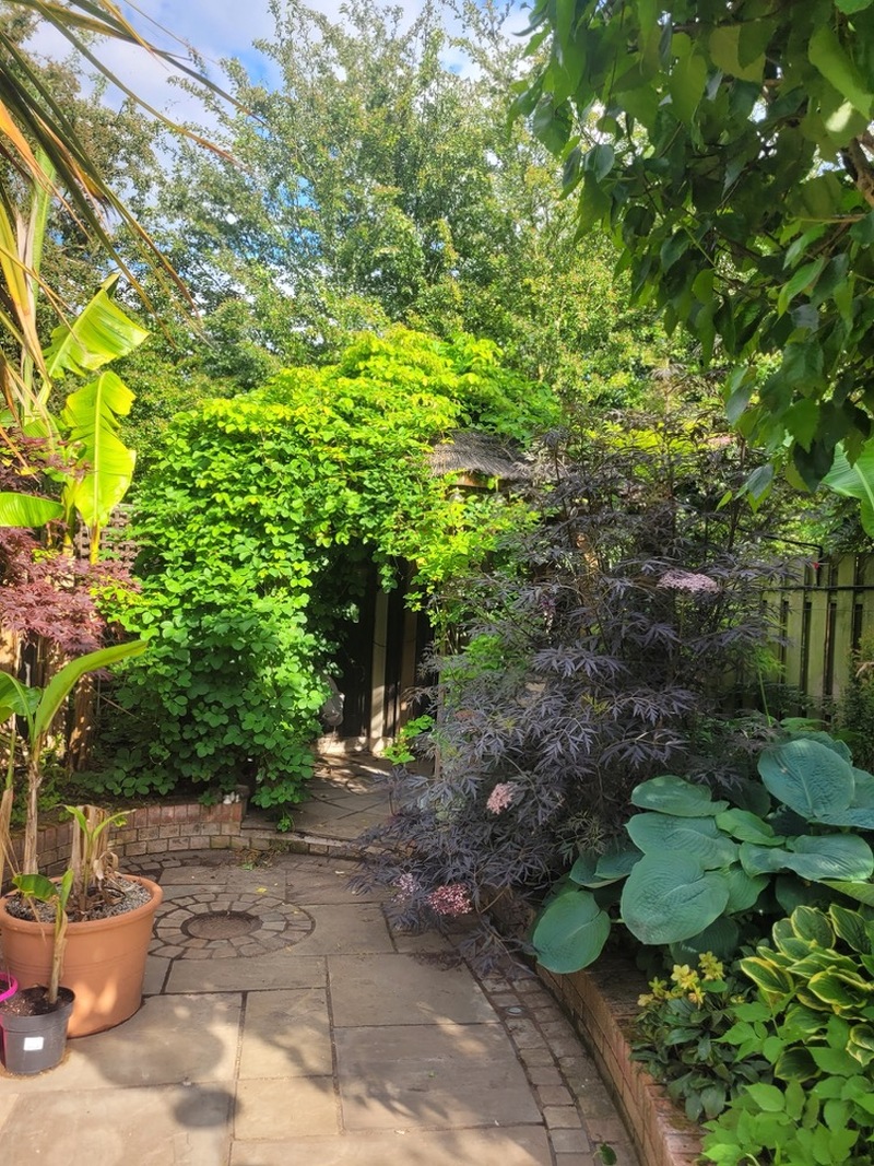 Other image for Barnsley’s Best Garden competition: Mick works his magic to water his ‘zen’ garden